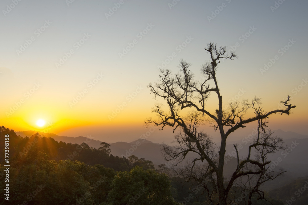 Beautiful Sun rise in Thailand, Chiangmai
