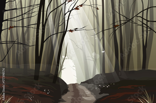 Misty mysterious forest with silhouettes of trees and branches, path and rays of light - vector illustration