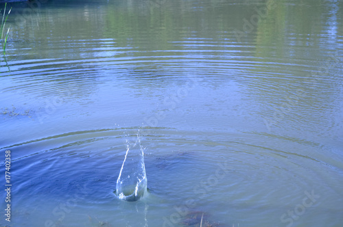 Wasserfontäne am Teich