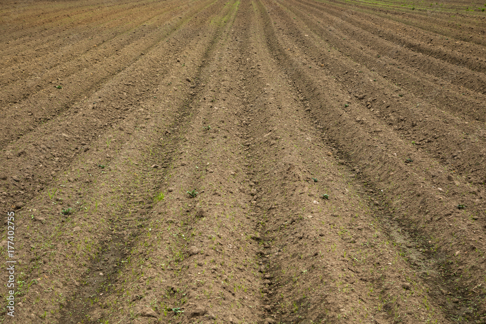 A brown field with ploughed rows of dirt