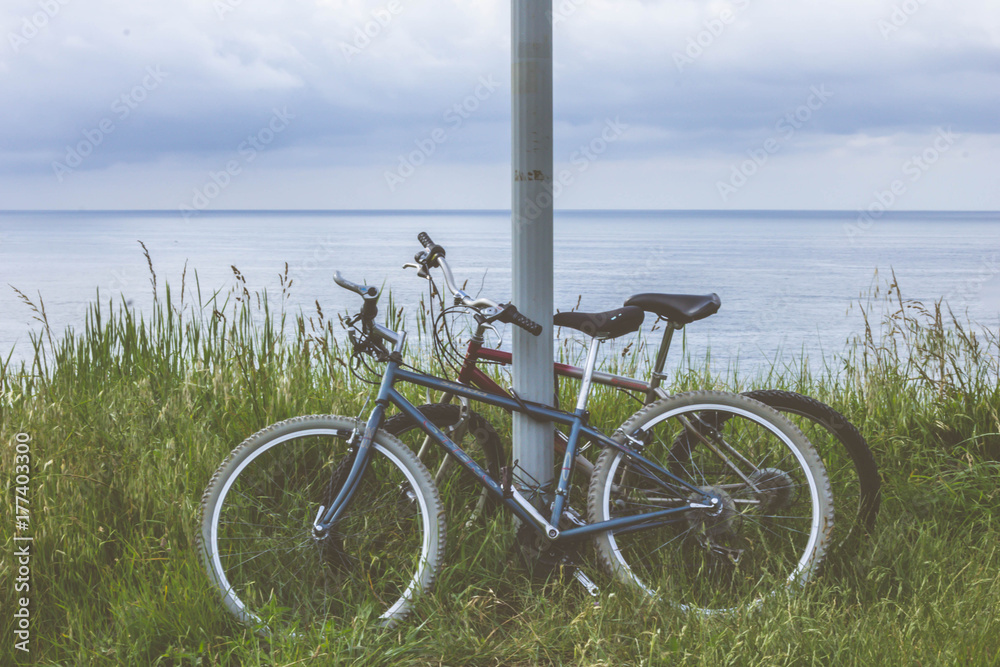 Obraz premium Together