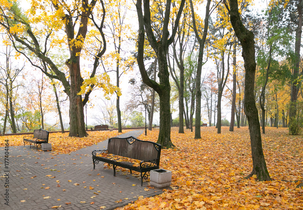 beautiful golden autumn in the city park