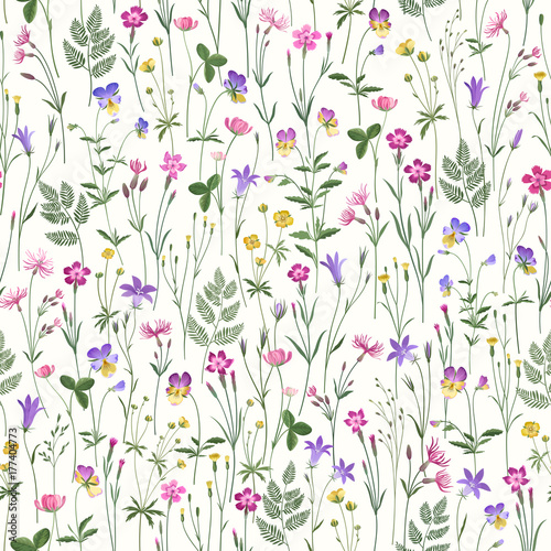 Fototapeta Naklejka Na Ścianę i Meble -  decorative seamless floral pattern with meadow flowers