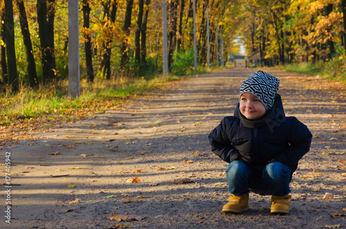Fototapeta Naklejka Na Ścianę i Meble -  Charming boy of two years in a blue jacket and a motley hat sat down on the path on the alley in the park in autumn
