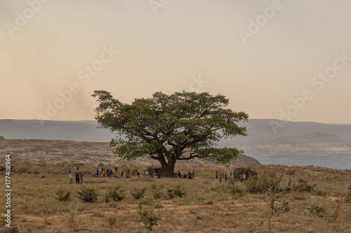 African community meeting under a tree.
