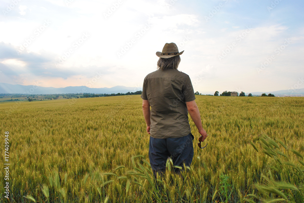 Man with hat standing in a wheat field; back view; people and nature concept.