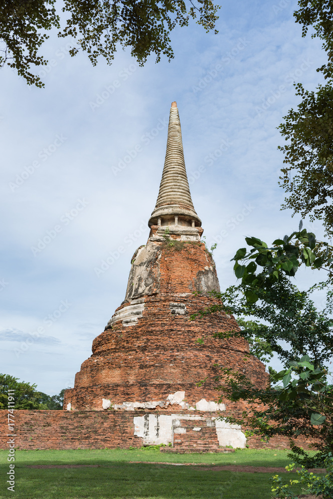 Old pagoda with tree in foreground
