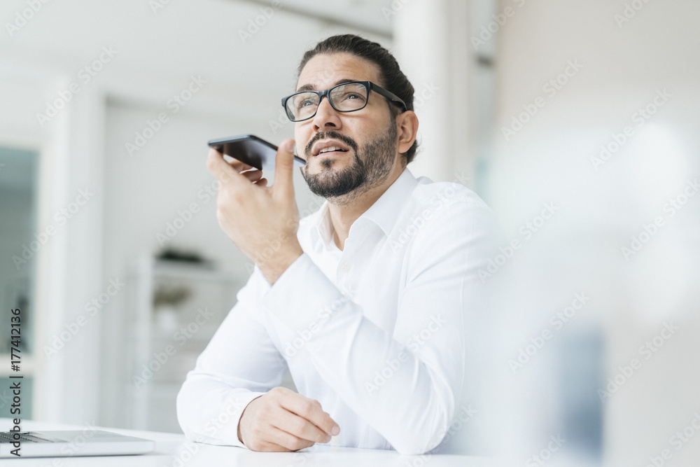 Portrait of businessman on the phone in his office Portrait of businessman on the phone in his office
