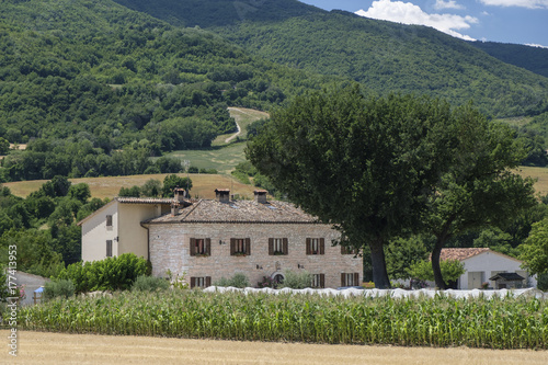 Summer landscape in Marches near Urbino