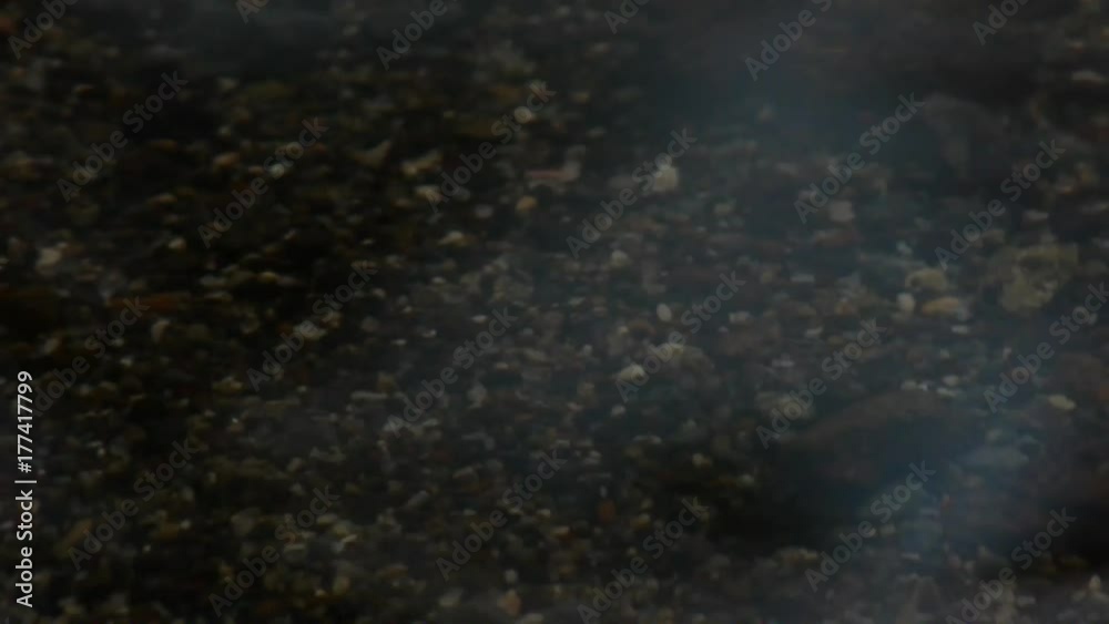 水面の揺らぎ 水面の揺らぎ
