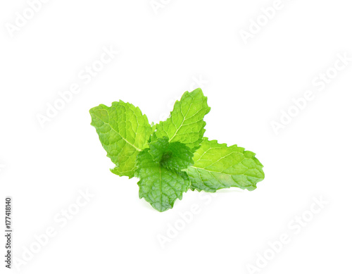 mint leaves on white background