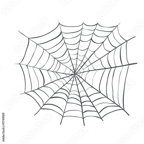 Fotografie, Obraz spiderweb, Web Spider Vector Illustration. Webbing weaving