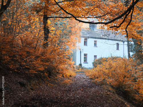 white painted cottage surrounded by beautiful autumn trees at the end of a woodland forest path