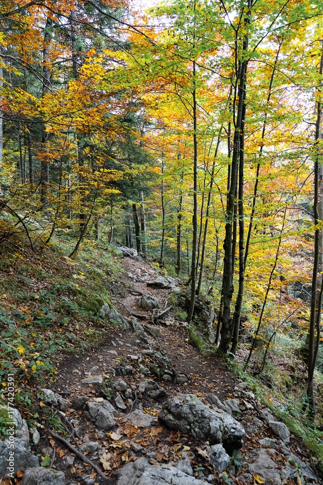 Wilder Kaisser massiv am hintersteiner see in tirol in Österreich