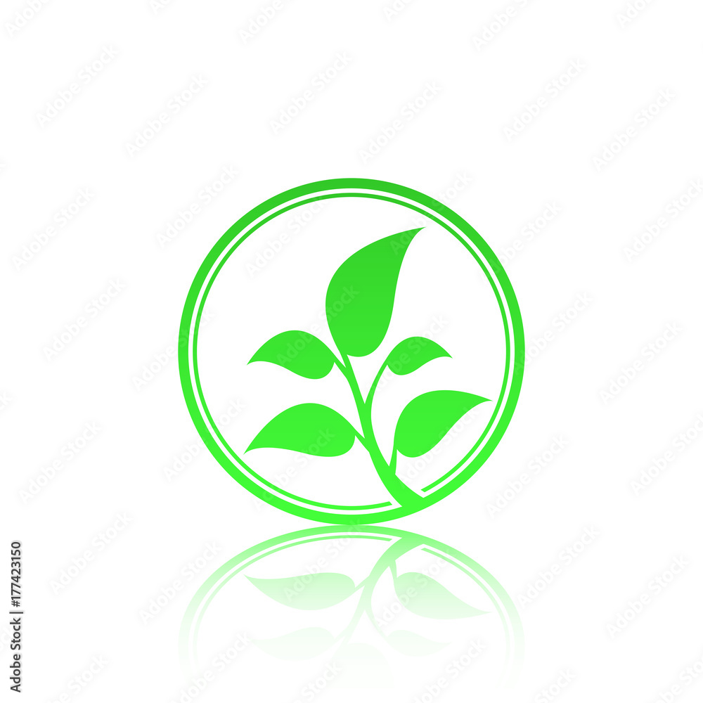 Obraz premium Green leaf logo template with reflect. Eco lifestyle concept.