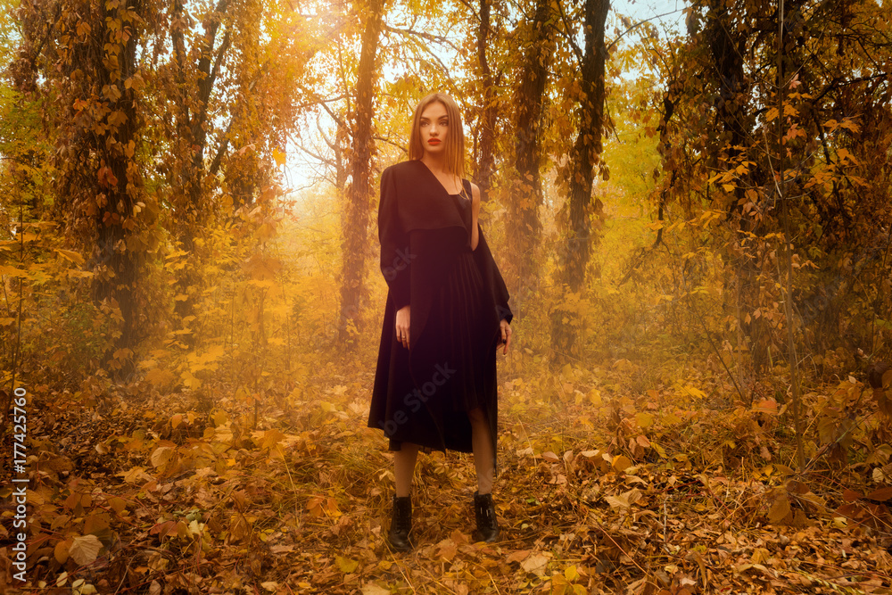 gorgeous young blonde girl in golden forest gorgeous young blonde girl in golden forest