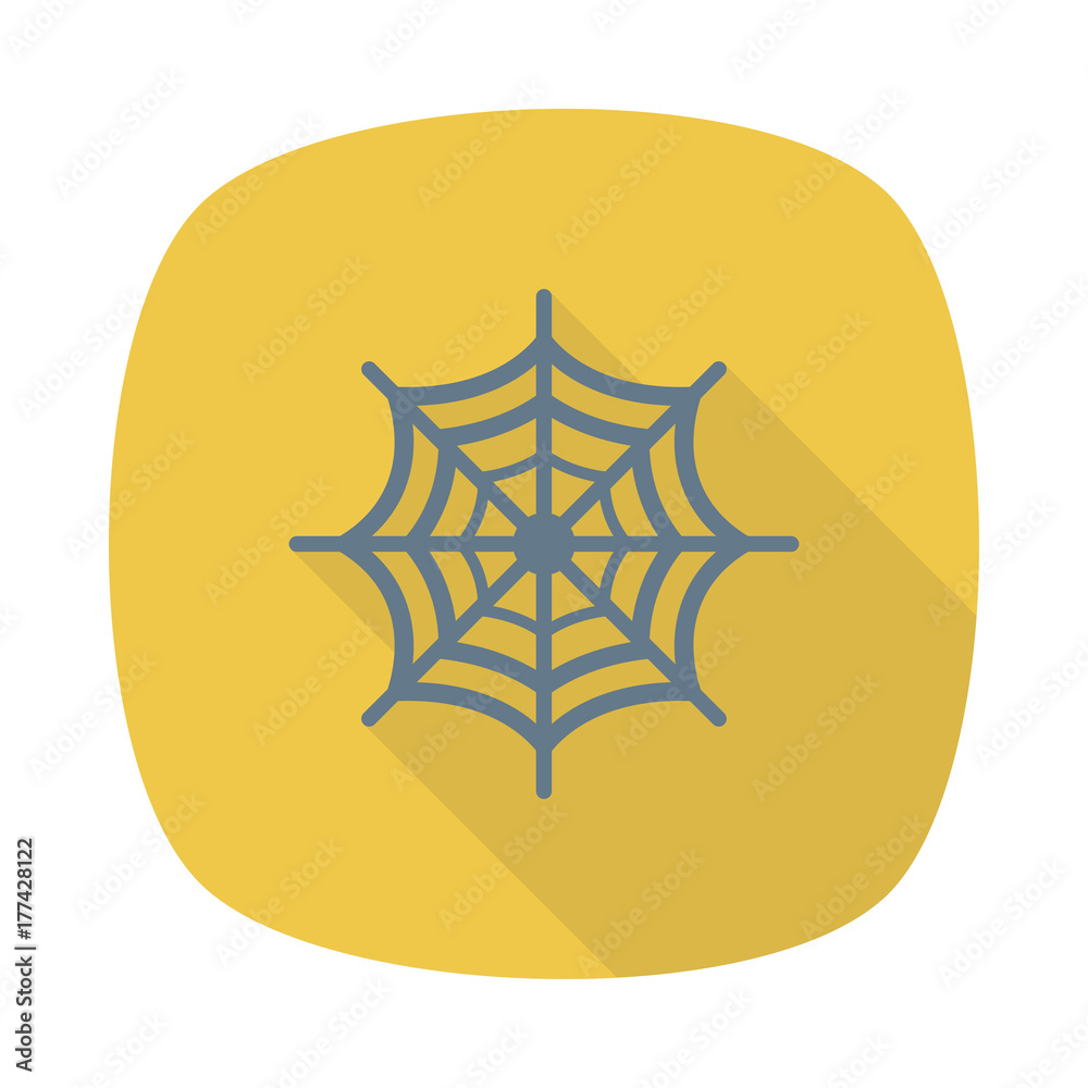 spider spider
