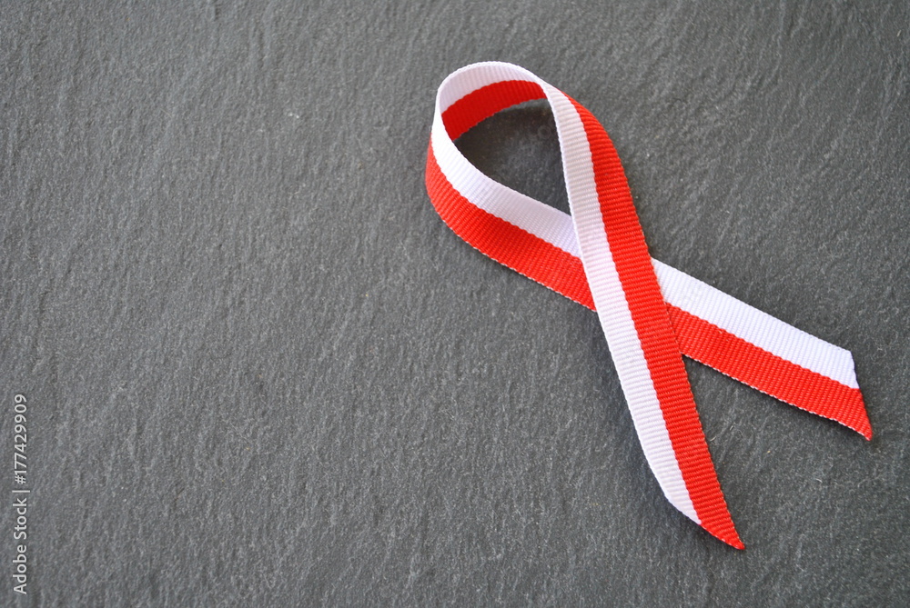 11 listopada, Polskie Święto Niepodległości