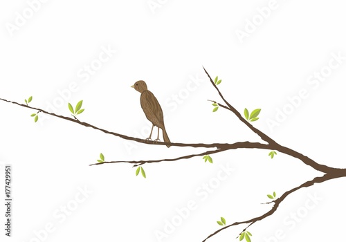 bird sitting on a branch with green leaves