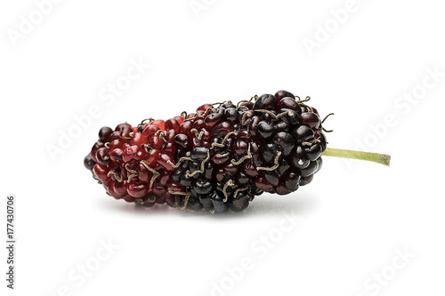 Mulberry berry isolated on white background macro photography,Food for heathly concept.