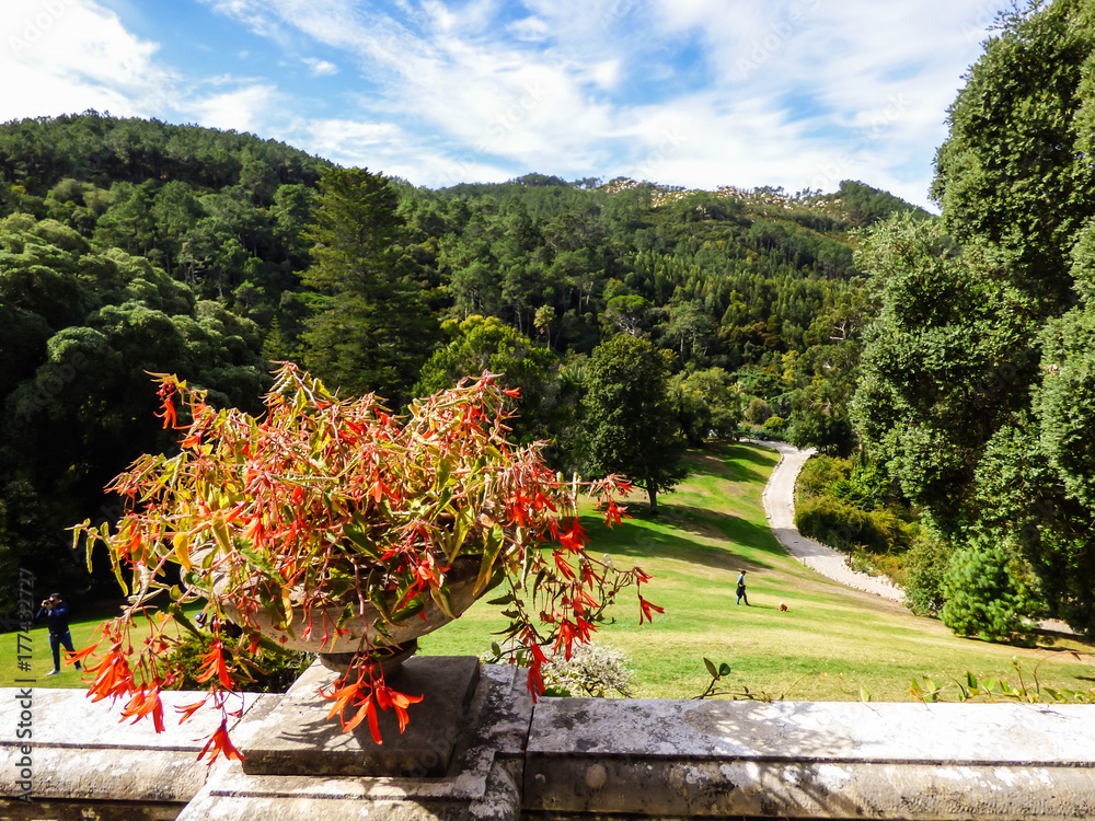 Obraz premium Beautiful garden at Monserrate Park and Palace in Sintra, Portugal