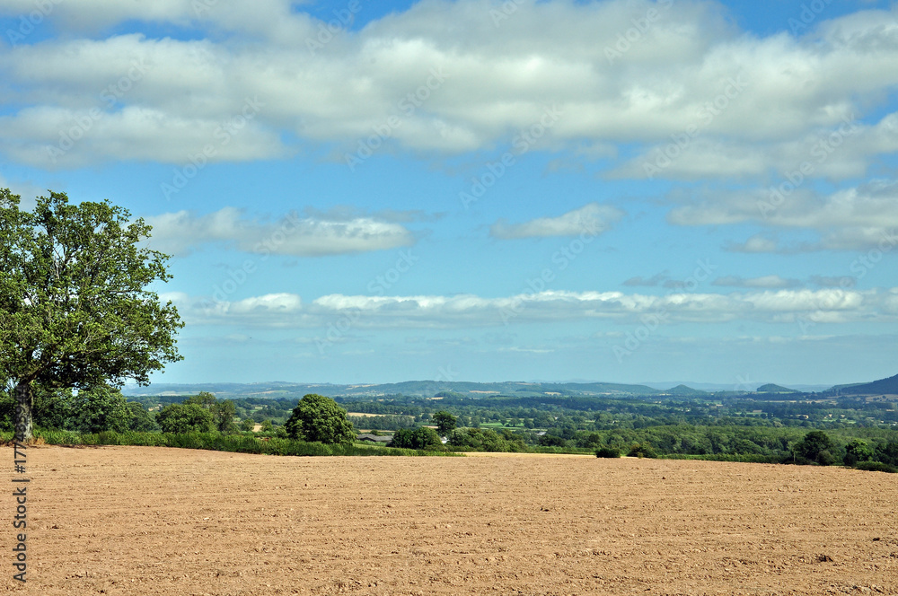 Mid summer agricultural landscape in the British countryside.