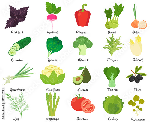 Set of tasty vegetables photo