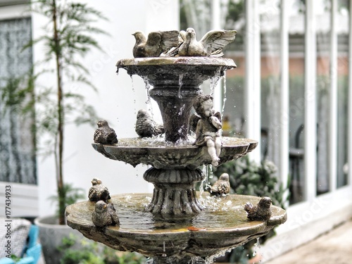 fountain in the park