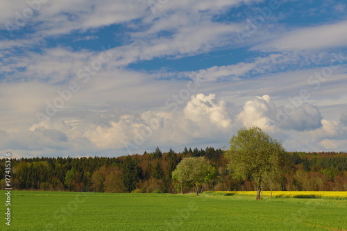 Landschaft im Frühling in Altmühl