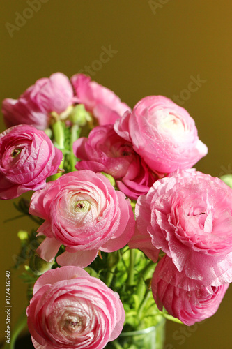 Pink Buttercups