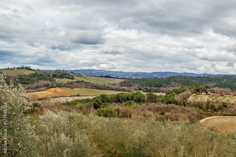 Landscape near Monteriggioni, Italy