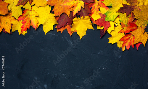 border frame of colorful autumn leaves on black background  copy space © Alena Popova