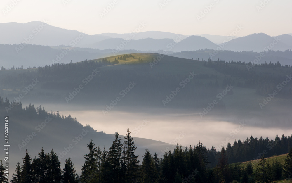 Morning fog at sunrise in the mountains. The Ukrainian Carpathians.
