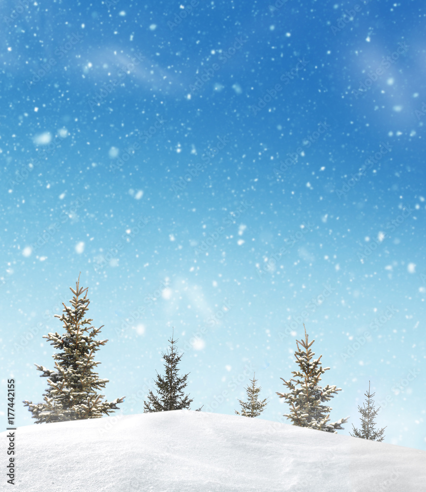 Winter landscape with fir trees.Merry Christmas and happy New Year greeting background