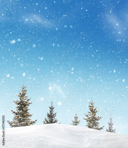 Winter landscape with fir trees.Merry Christmas and happy New Year greeting background