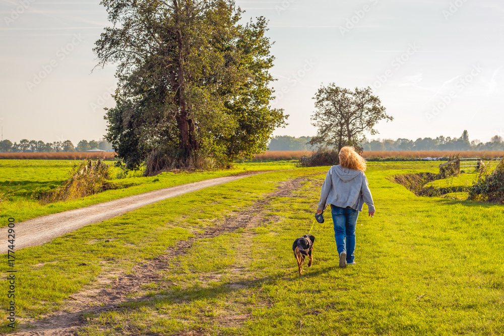 Walking the dog in a rural landscape
