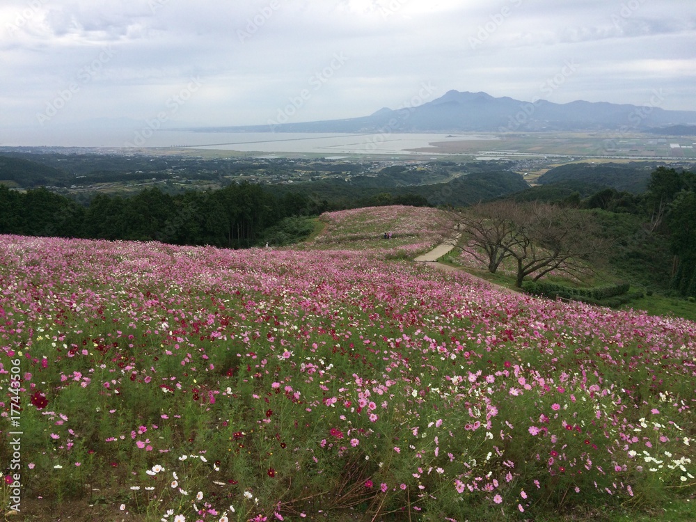 幻想的な秋の風景