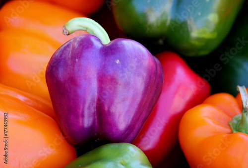 Pick A Purple Pepper