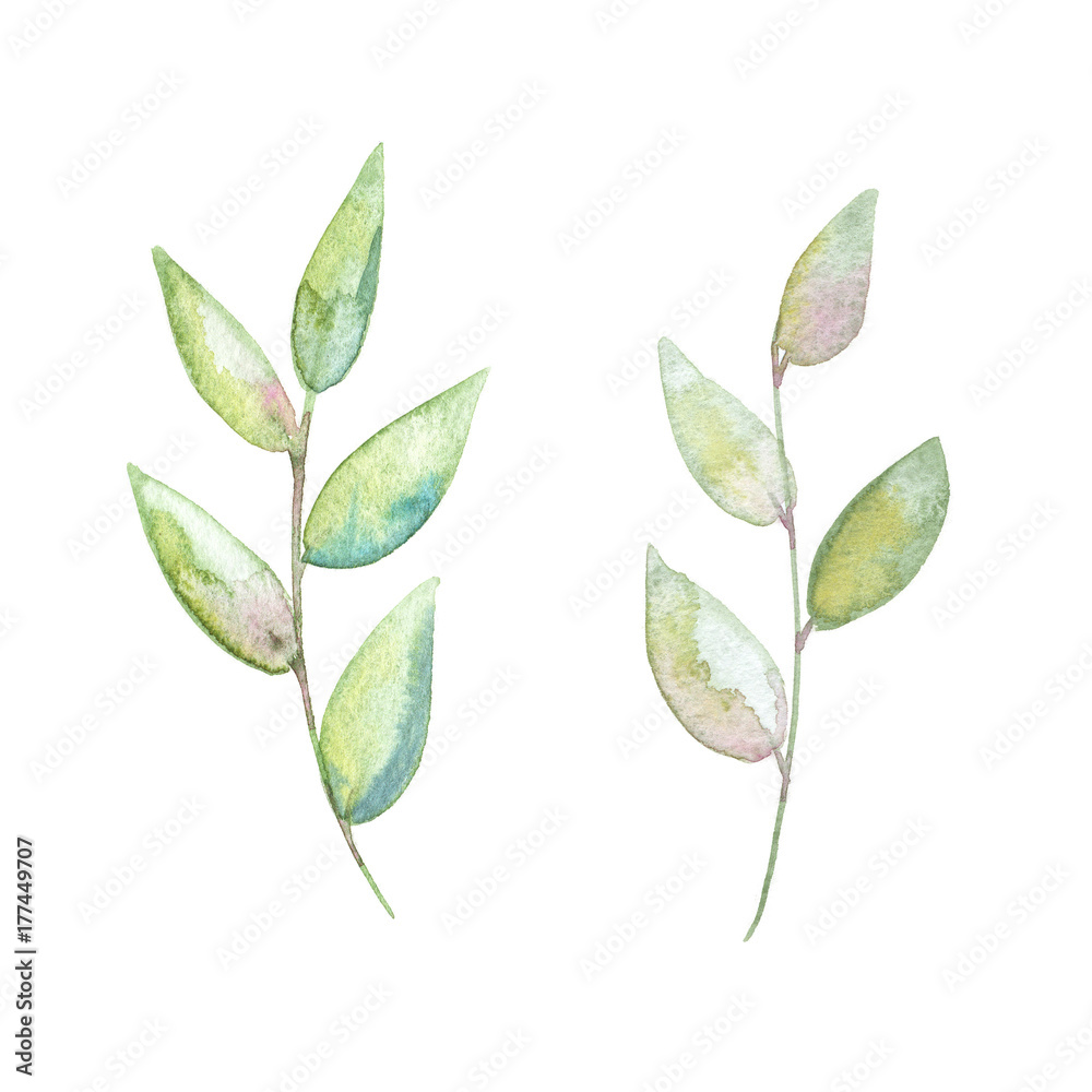 Fototapeta premium Two watercolor floral branches leaves hand painted design set clipart 
