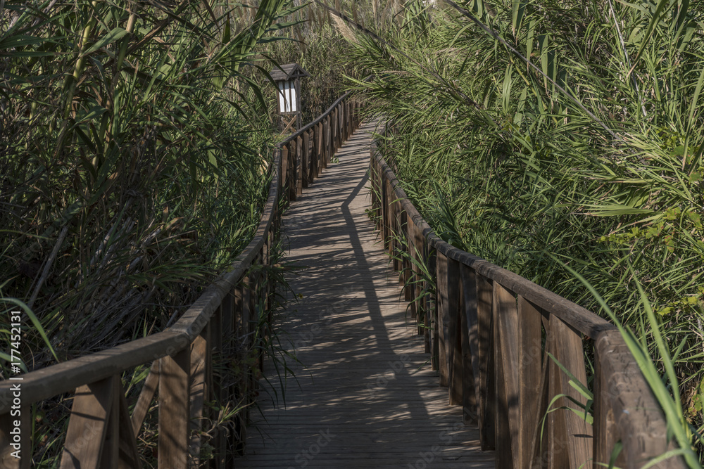 Detail of footbridge access to the beach Detail of footbridge access to the beach