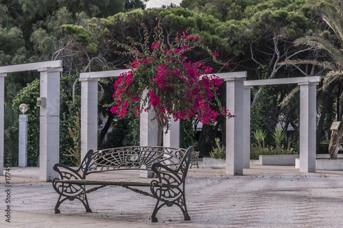Park in Guardamar del Segura
