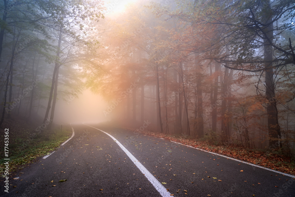 Asphalt road in a foggy autumn day