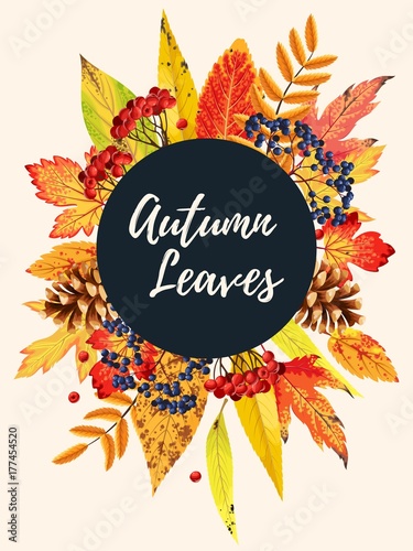 Autumn card with leaves