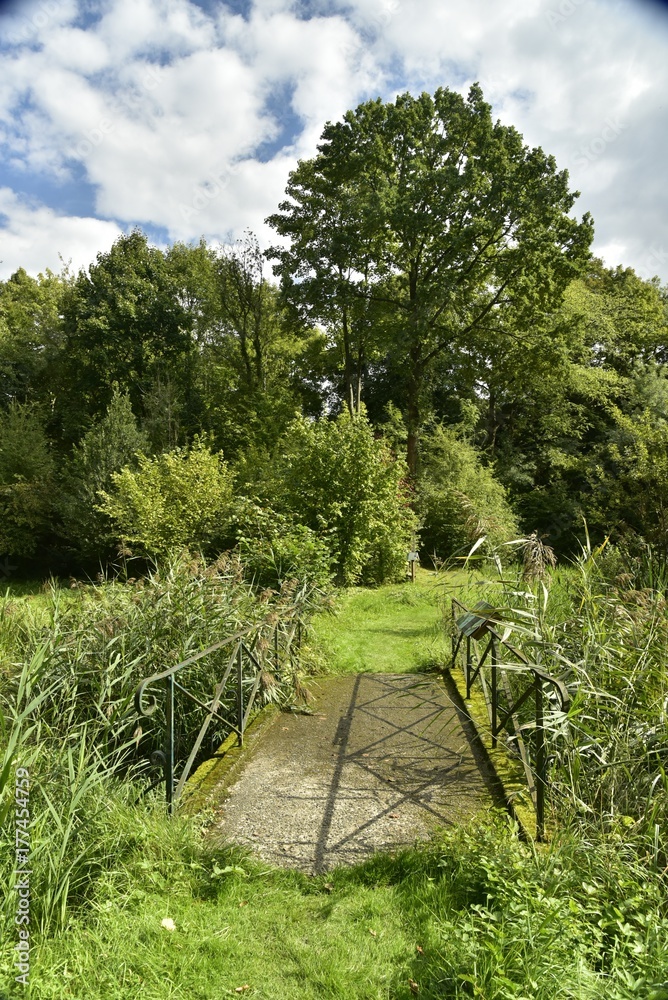 Petit pont franchissant la marre dans la réserve naturelle des Jardins Massart à Auderghem Petit pont franchissant la marre dans la réserve naturelle des Jardins Massart à Auderghem