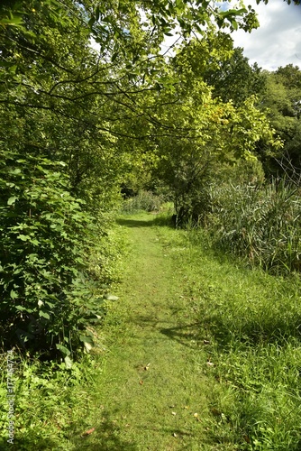 Chemin herbeux traversant la nature sauvage de la réserve naturelle des Jardins Massart à Auderghem 