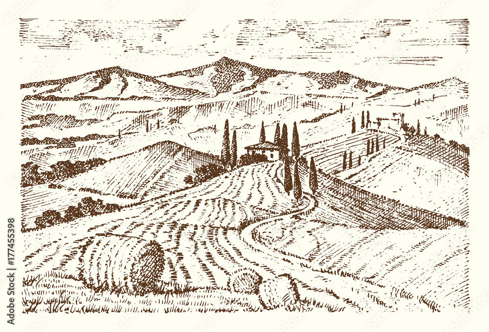 engraved hand drawn in old sketch and vintage style for label. Italian Tuscany fields background and cypress trees. harvesting and haystacks. Rural landscape of wineyard and village or rustic houses.