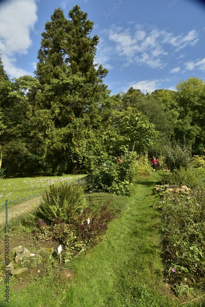 Obraz premium L'un des chemins en gazon entre les plantes médicinales aux Jardins Massart à Auderghem