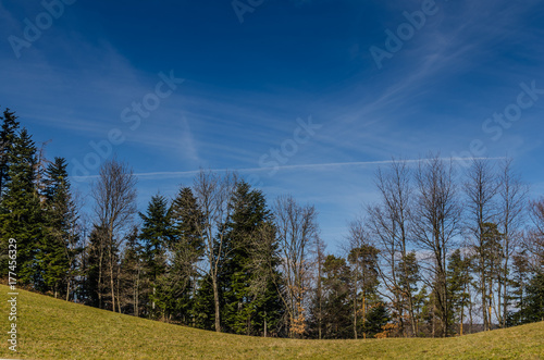 baeume wiese und berg
