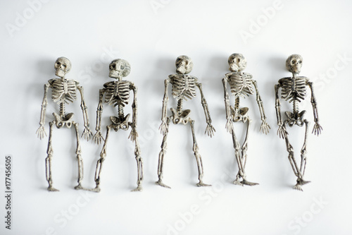 five skeletons on white photo