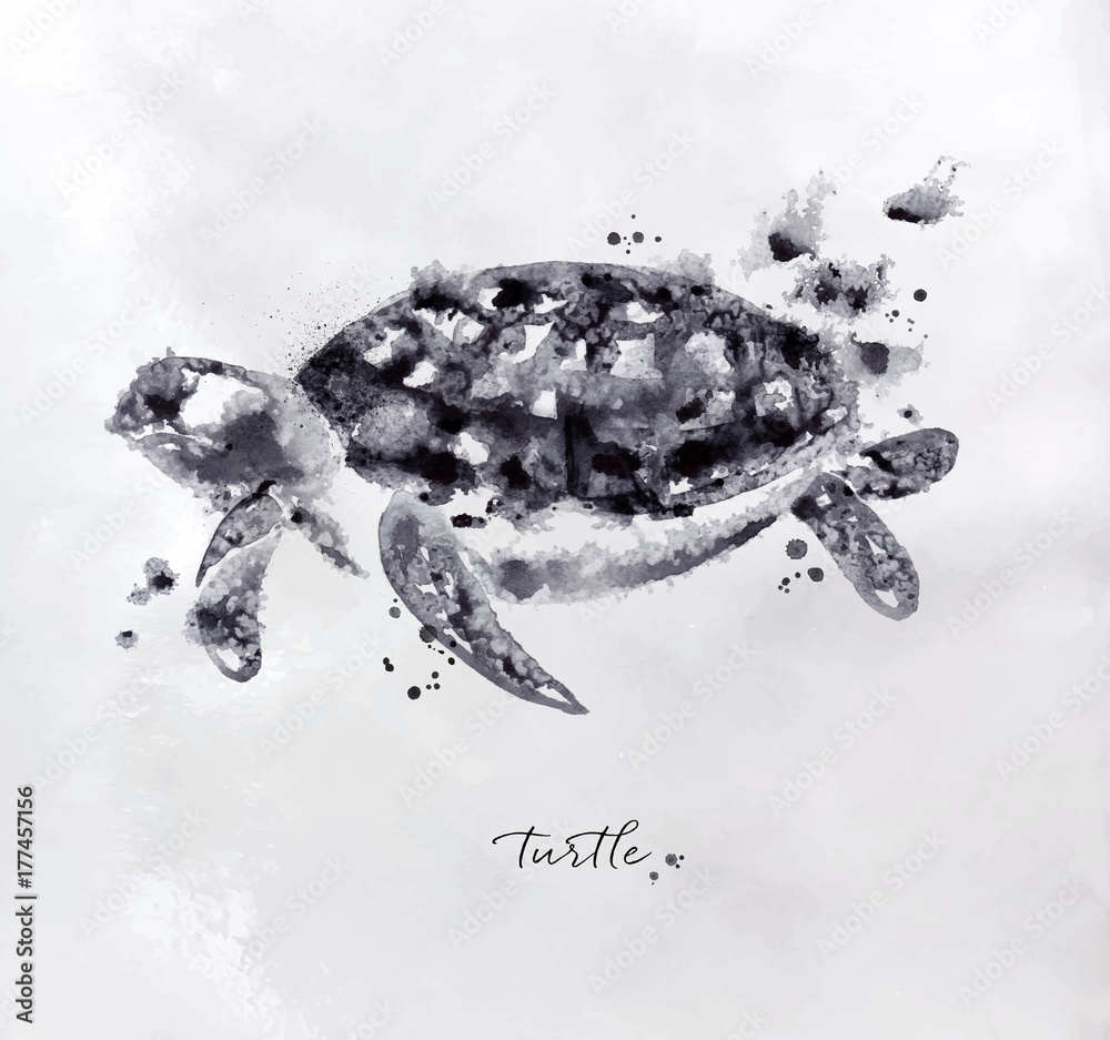 Monotype turtle black